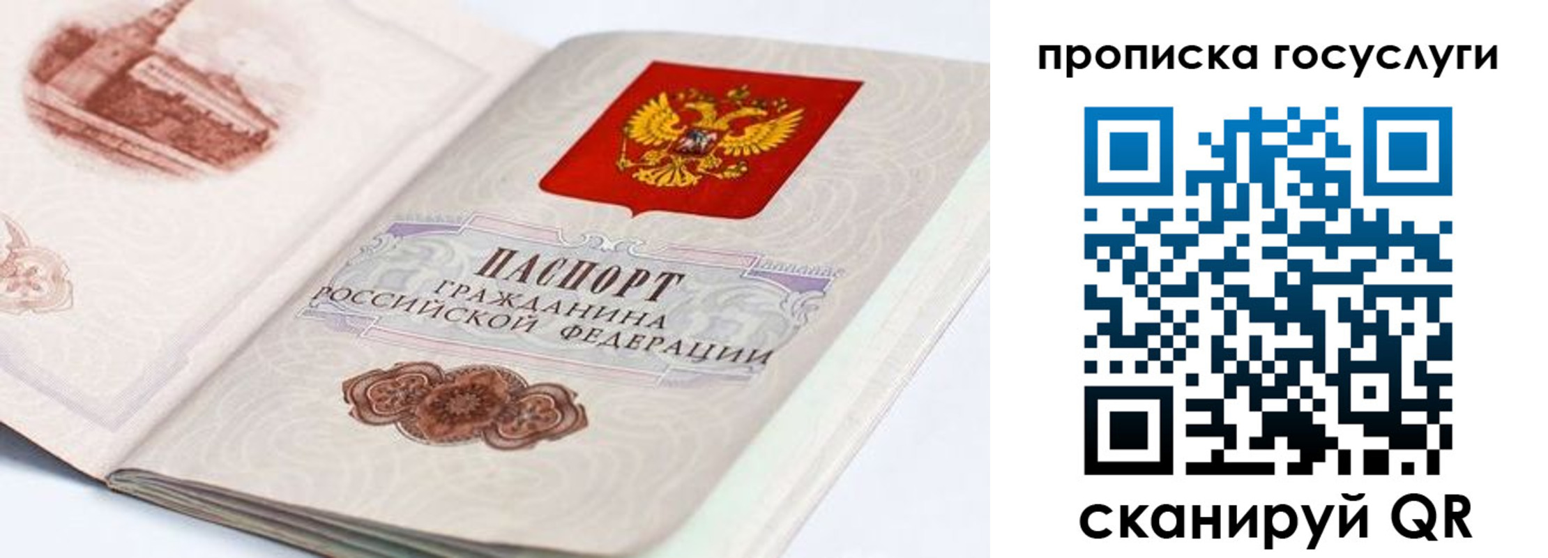 прописка регистрация в Зуевке